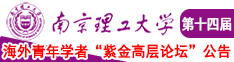 www，插美女BB，c0m南京理工大学第十四届海外青年学者紫金论坛诚邀海内外英才！